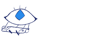 Vivid Vision Studios Logo